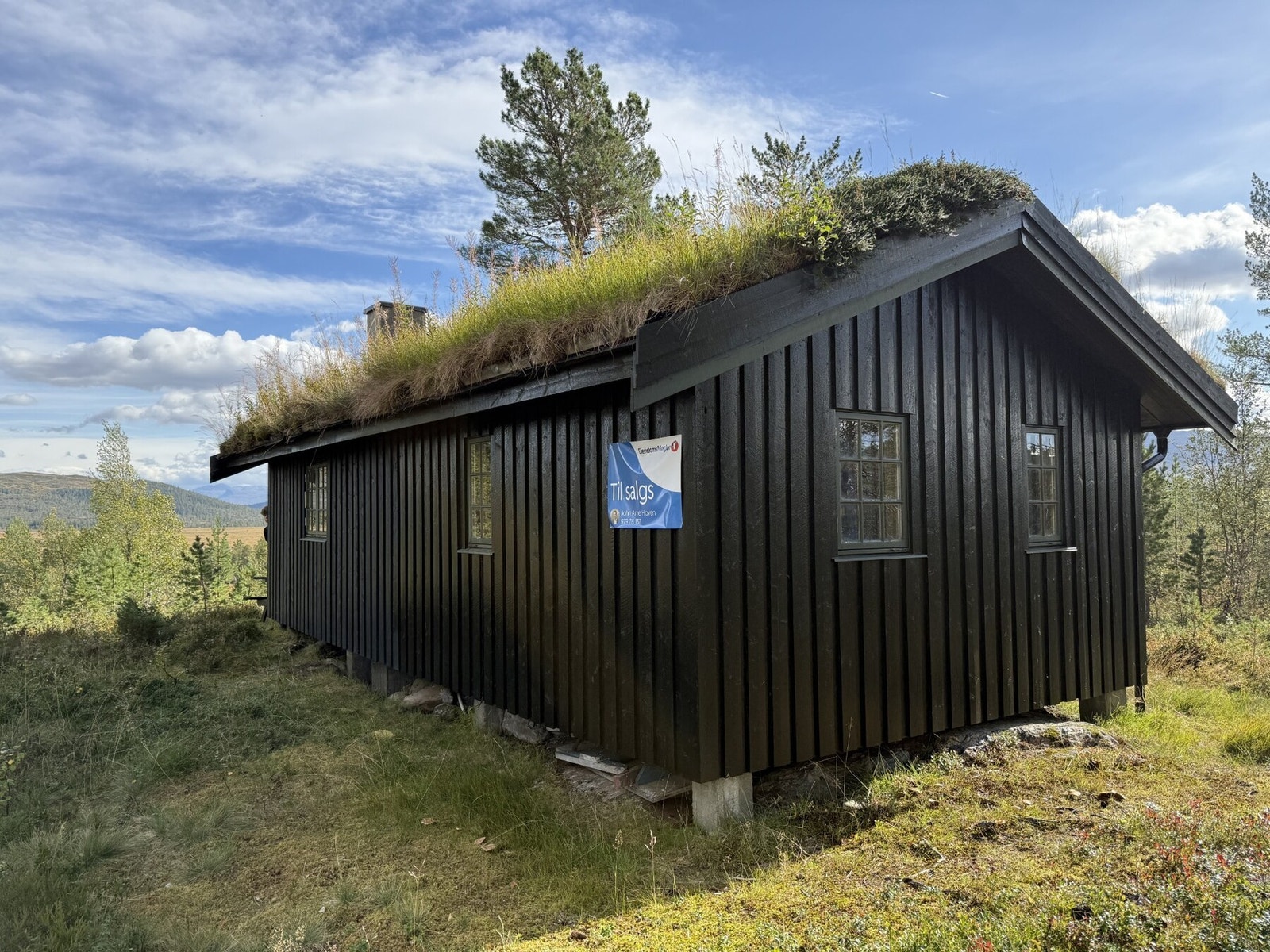 Hytta ligger ca. 500 meter fra Reinssjøen like ved "langglunken" Galleribilde