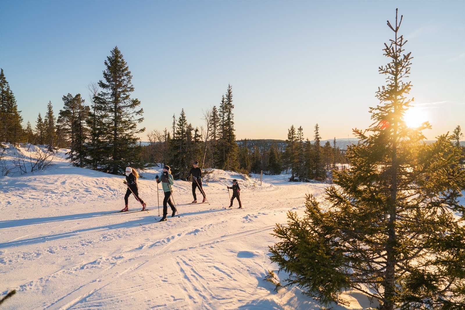 Norefjell har over 200 km preparerte langrennsløyper - fra leiligheten har du også ski inout direkte til 8 km lang lysløype. Galleribilde