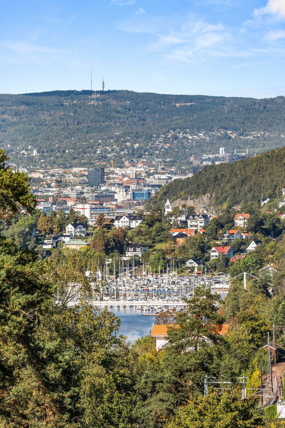 Fra leiligheten er det en kort spasertur til flere badeplasser langs fjorden. Galleribilde