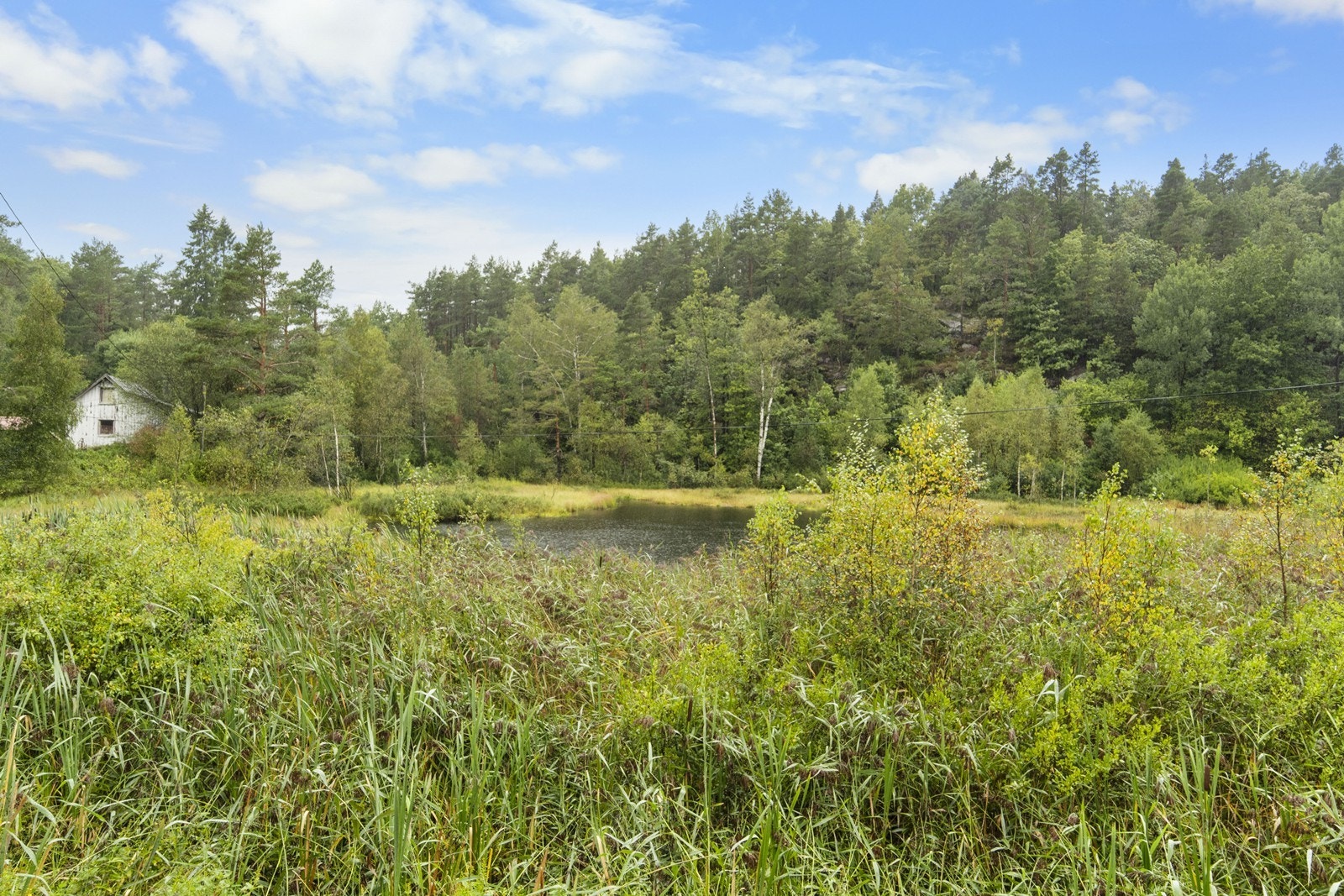 Tett på naturen. Galleribilde