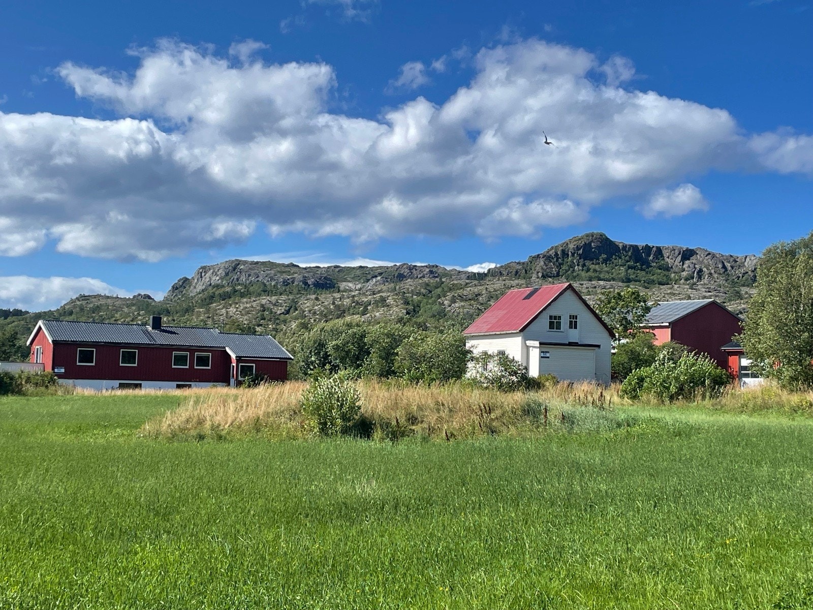 Haug - Landbrukseiendom med 2 boliger, eldre fjøs, verksted/garasjebygg og naust Galleribilde