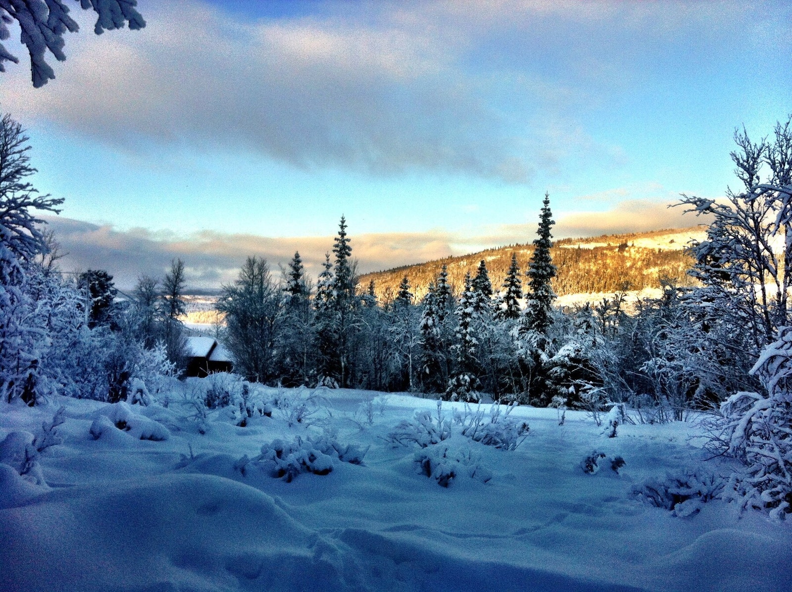 Flott stemningsbilde i vinteridyll - bilde fra selgers arkiv Galleribilde