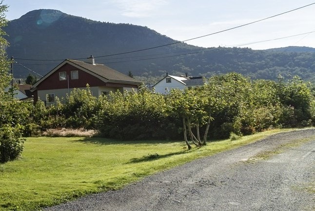 Det er ingen byggeklausul og man står fritt til å bygge sin boligdrøm! Galleribilde