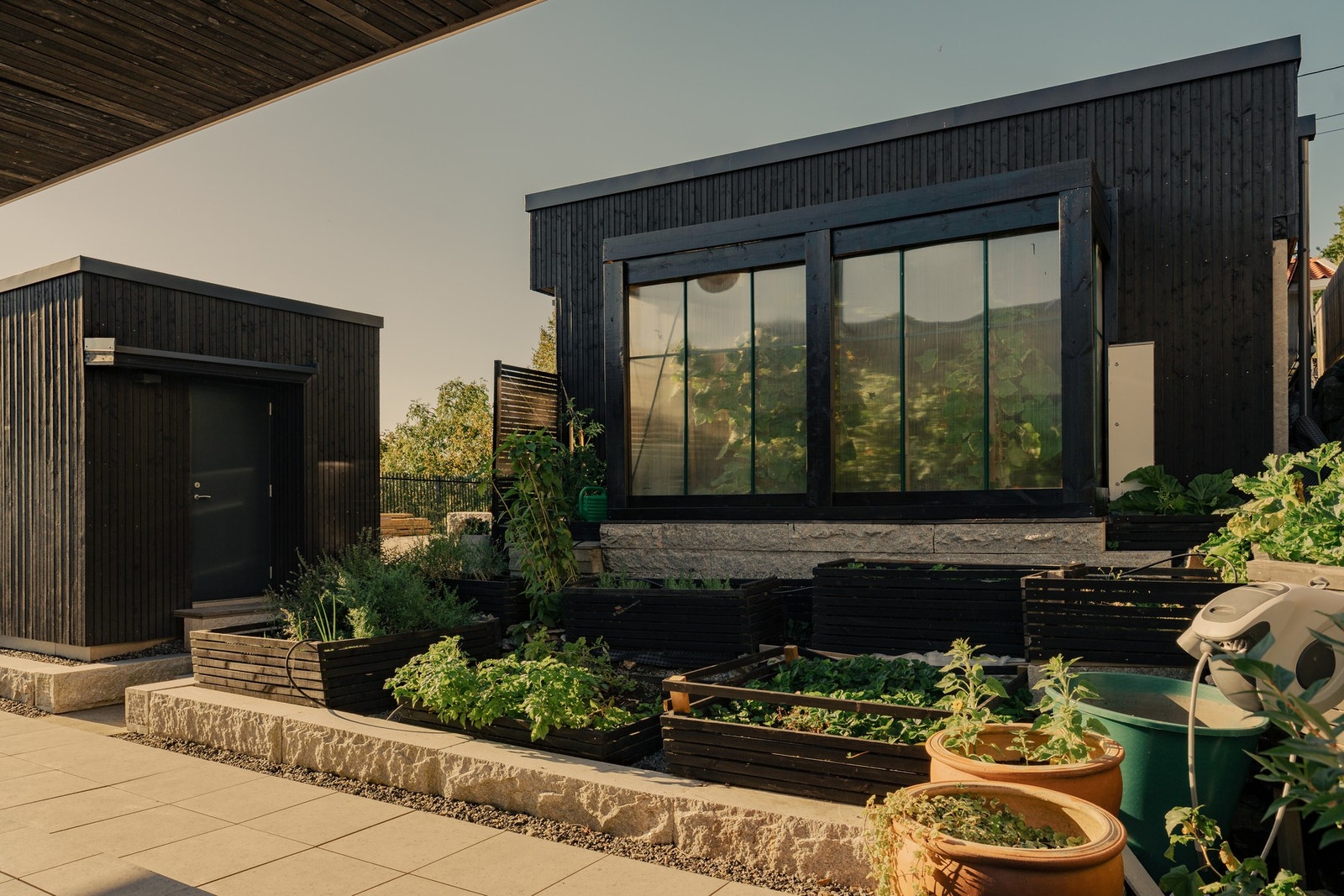 Drivhus med egenproduksjon av tomater, squash, agurk, chili, bær og krydderurter. Galleribilde