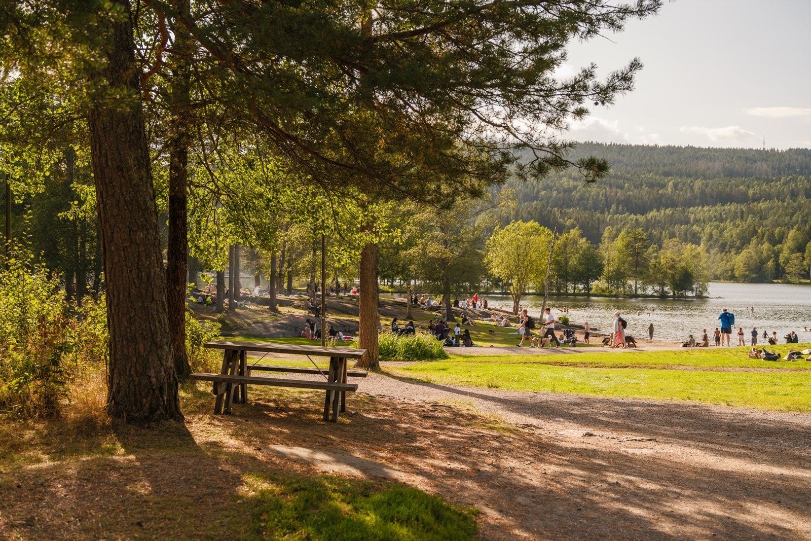 Nærområdet | Sognsvann Galleribilde