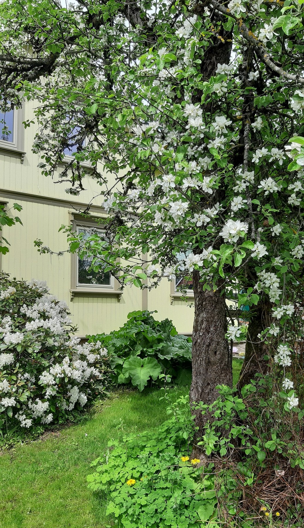 Privat bilde Galleribilde