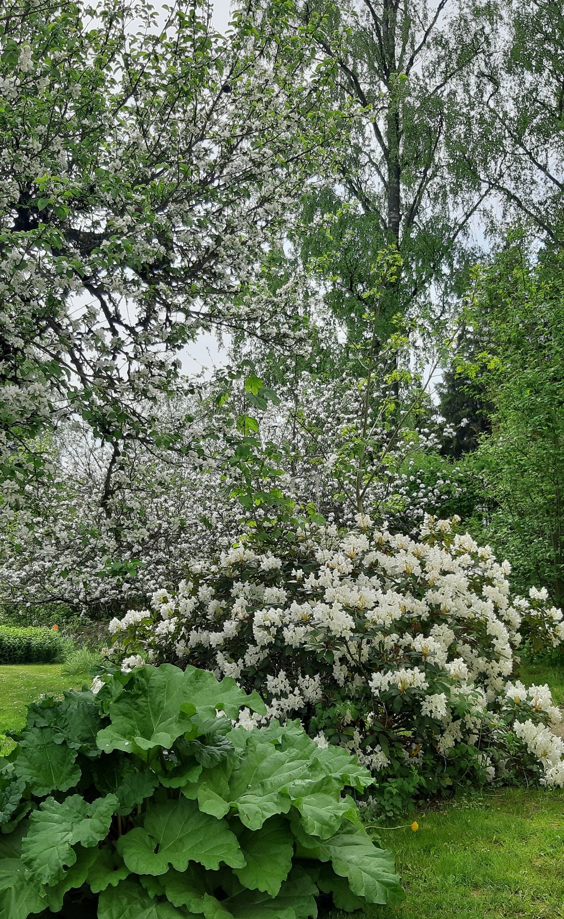 Privat bilde Galleribilde