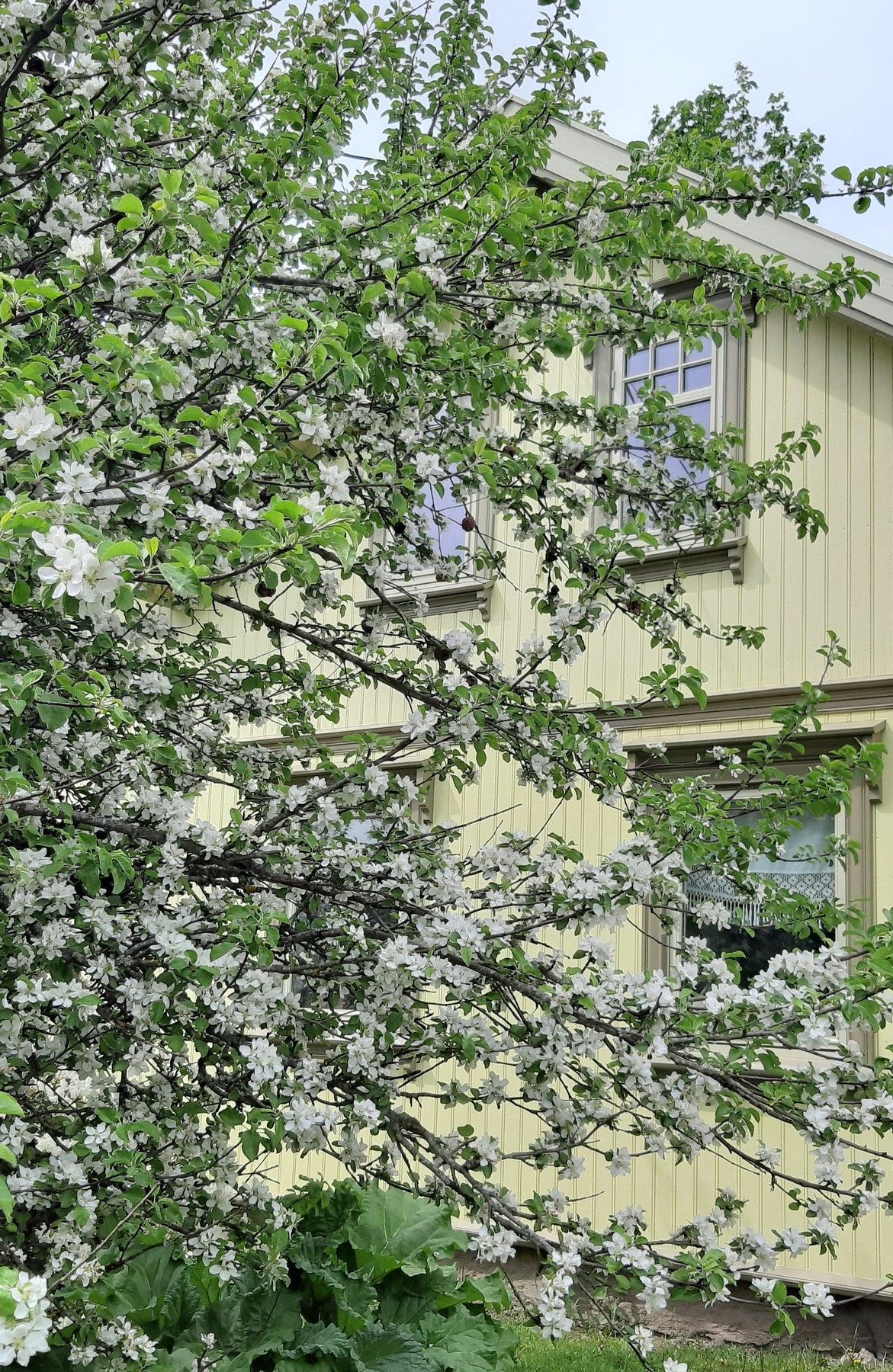 Privat bilde Galleribilde