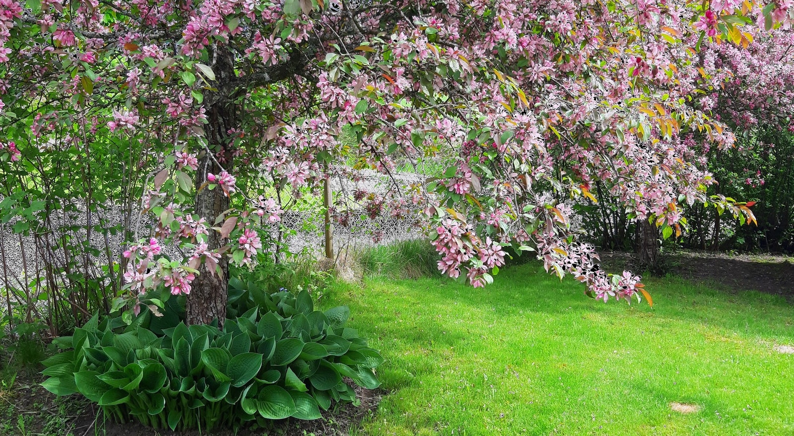 Privat bilde Galleribilde