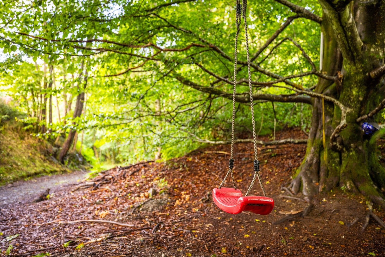 - Det er laget til disser i skogen. Herfra kommer man videre til Fantoft stavkirke - Galleribilde