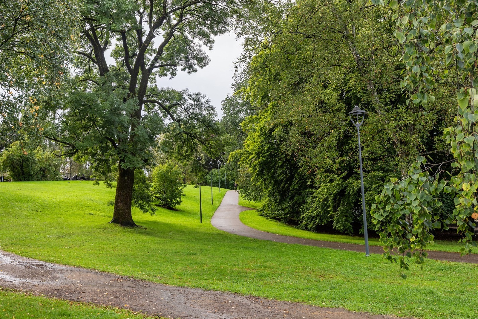 I umiddelbar nærhet har du St. Hanshaugen park. Galleribilde