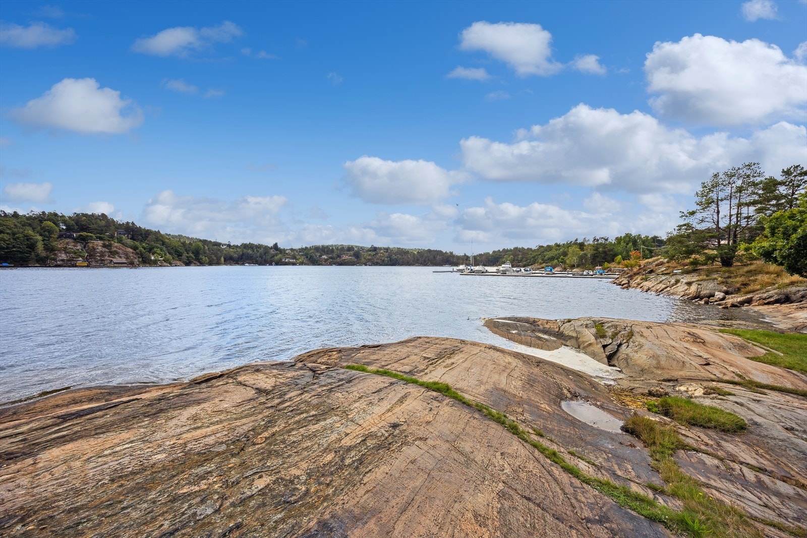 Fra nærområdet. Galleribilde