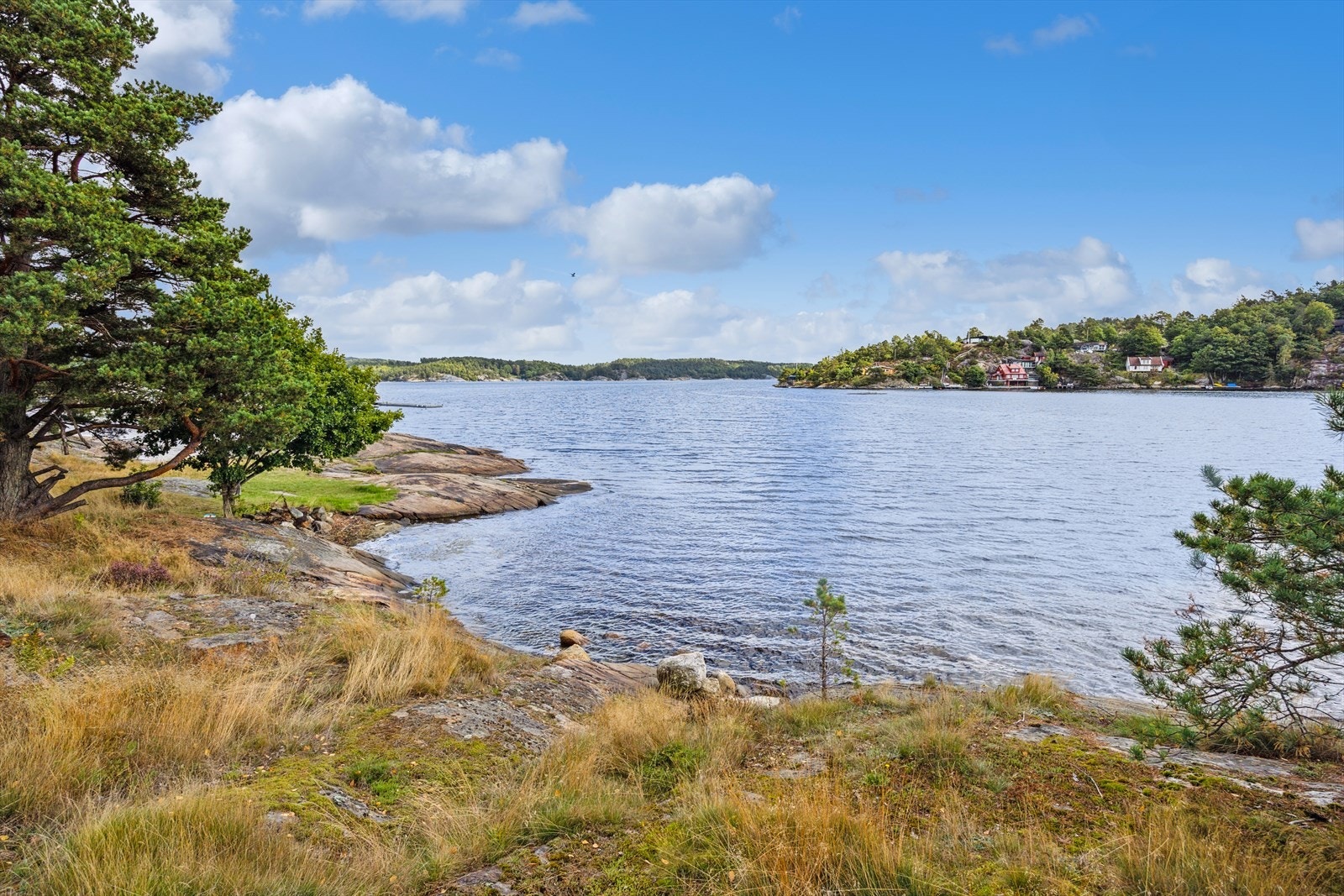 Fra nærområdet. Galleribilde