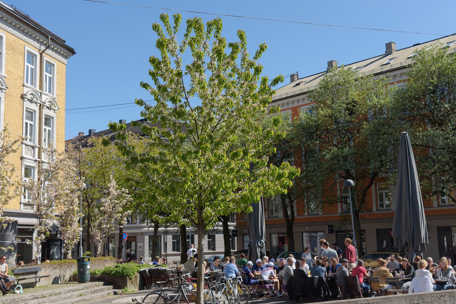 Vertshuset Grisen er et av mange spisesteder på Torshov. Flott uteservering sommerstid. Galleribilde