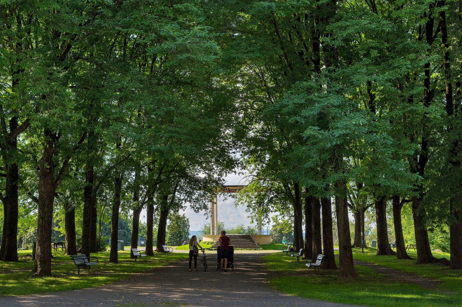 Torshovparken er en av flere parker i nærmiljøet. Galleribilde