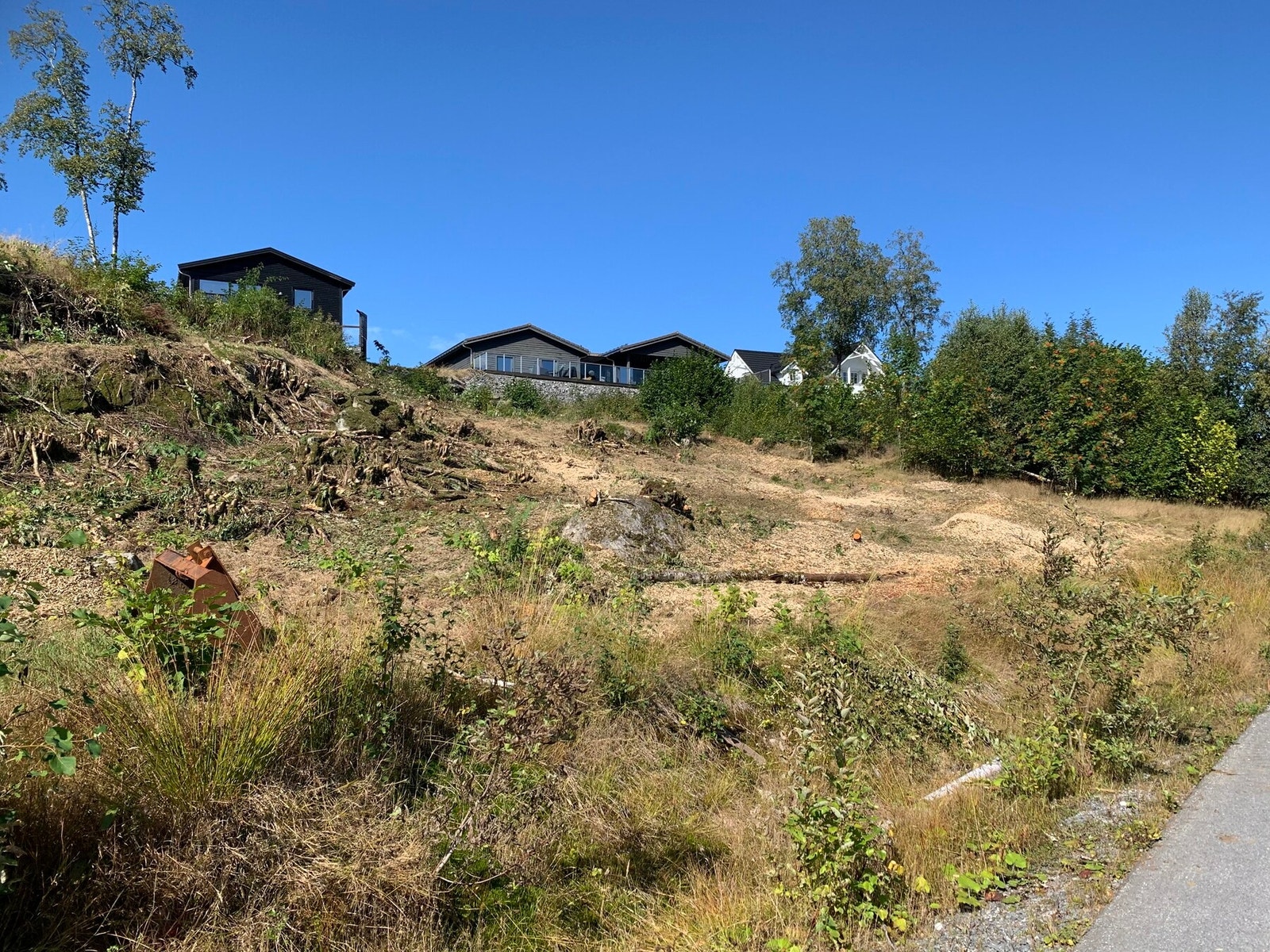 Nærbilde av tomten. Galleribilde