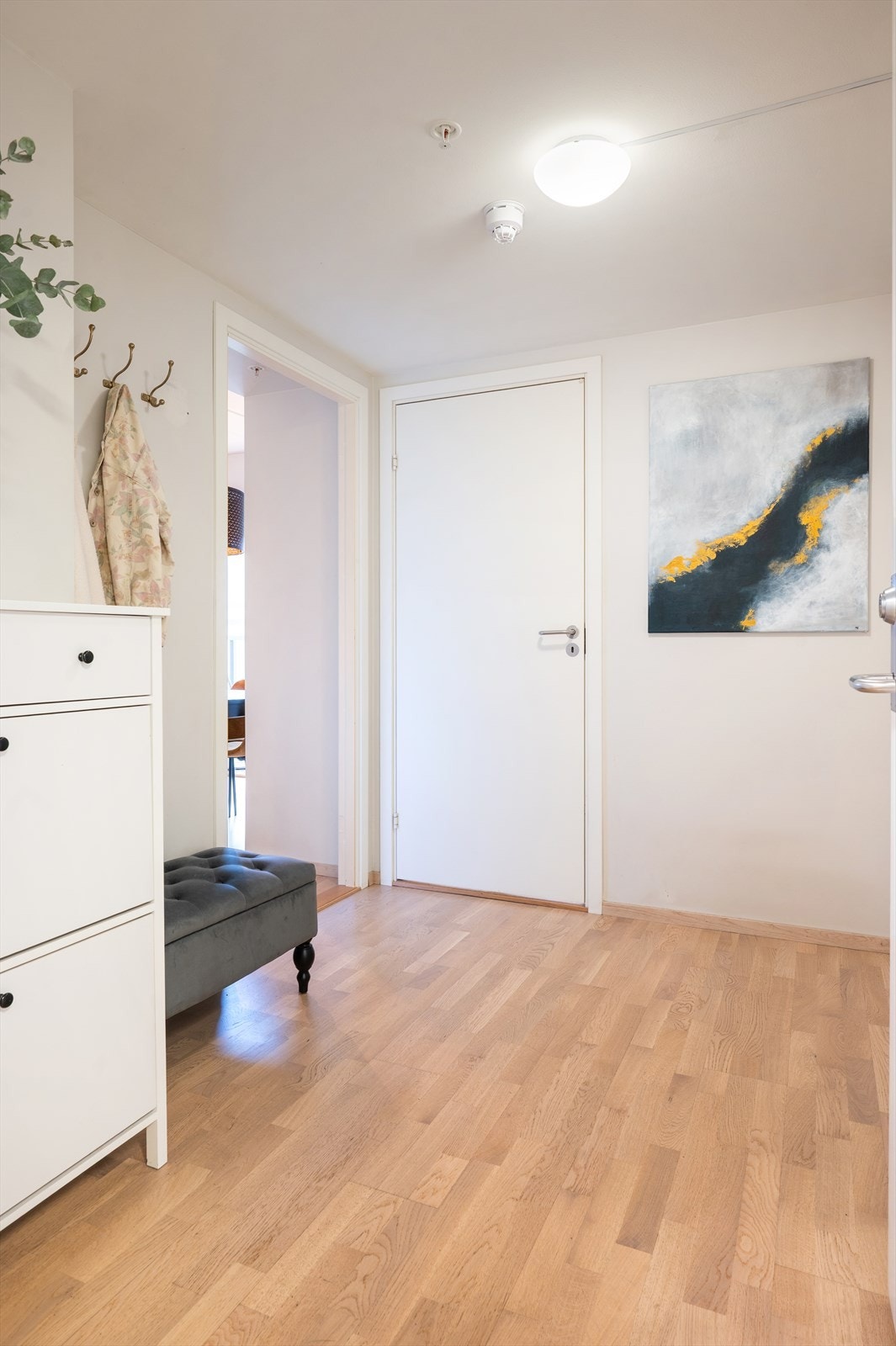 Entré med god plass til oppheng av ytterklær og plassering av sko Galleribilde