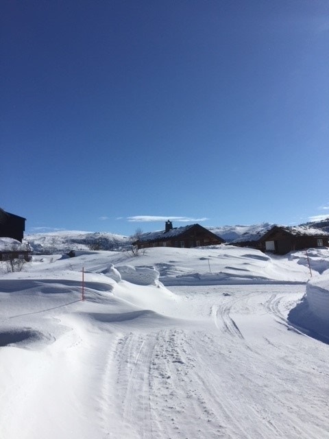 Selgers eget bilde Galleribilde