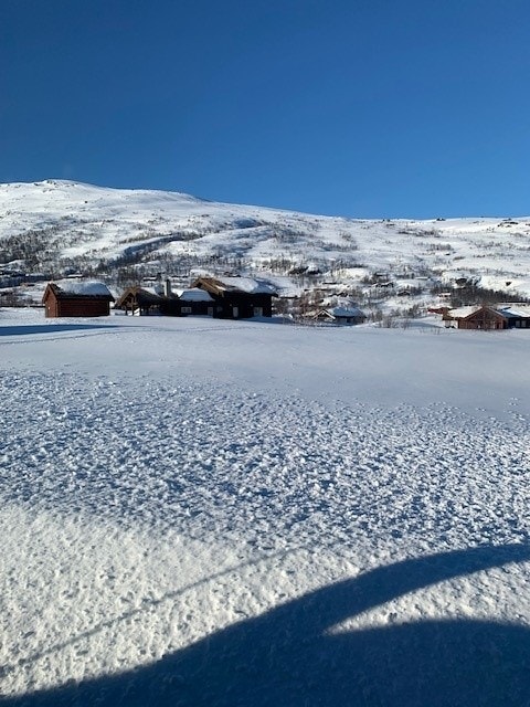 Selgers eget bilde Galleribilde