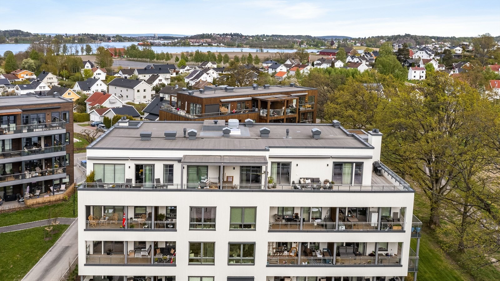 Området. Galleribilde