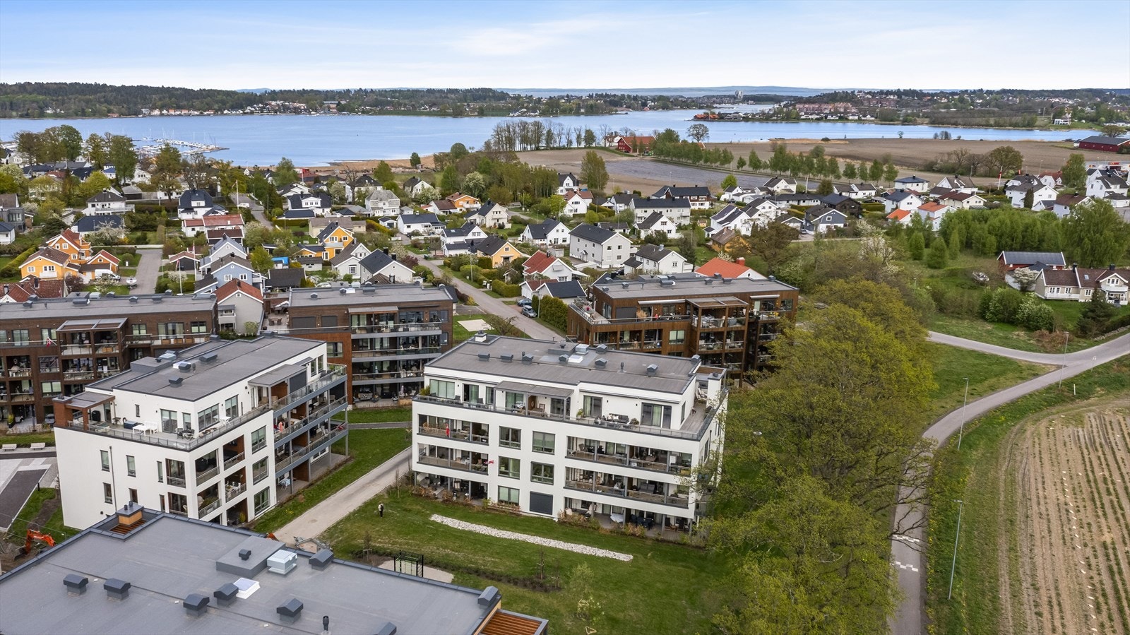 Området. Galleribilde