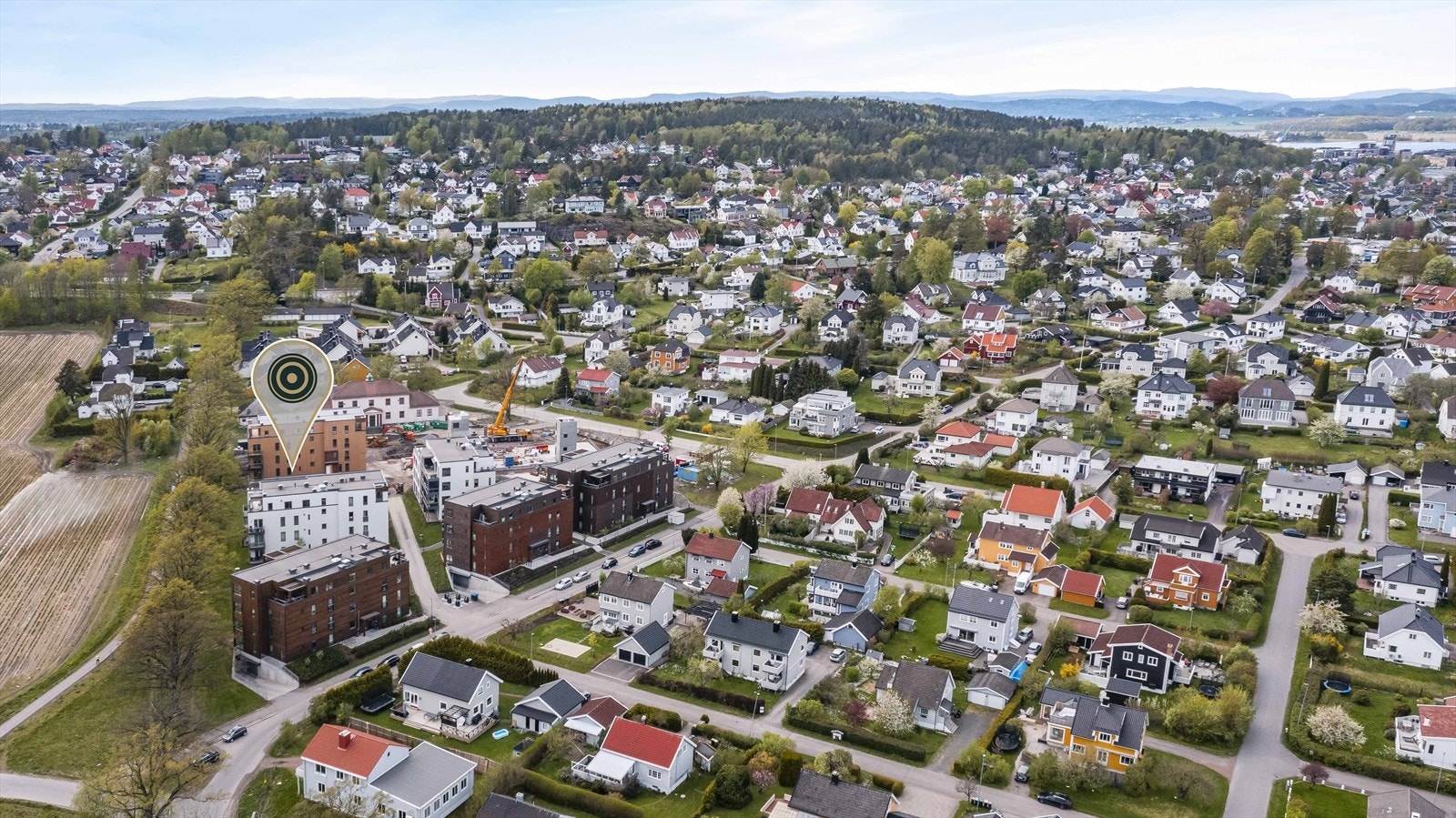 Området. Galleribilde