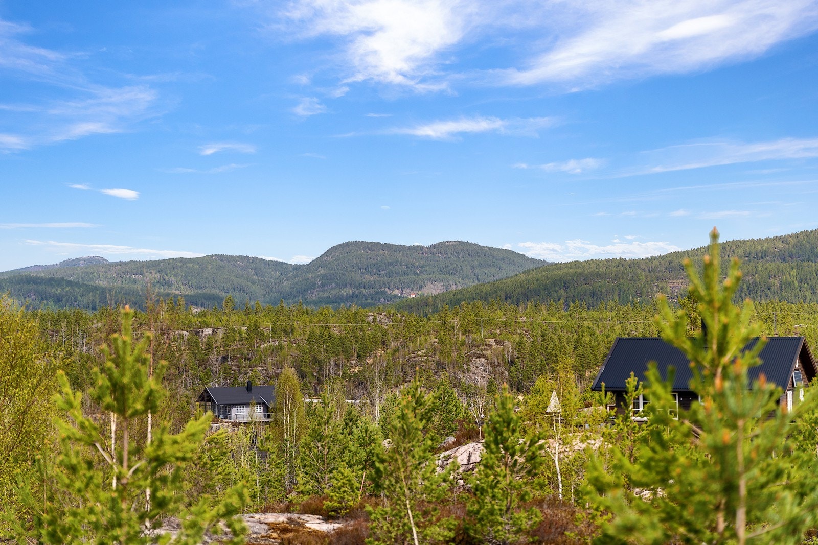 Flott utsikt fra eiendommen Galleribilde