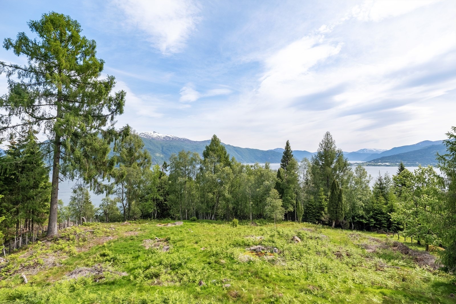 Den store inngjerda tomten er eit eldorado for store og små som er glad i naturen. Galleribilde