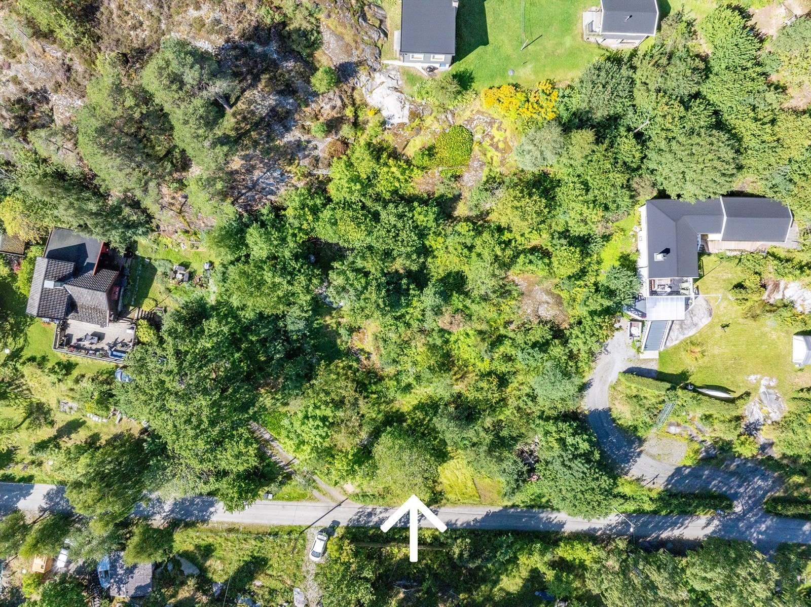 Tomt 1725,5 mål, gnr.7 bnr.62 Galleribilde