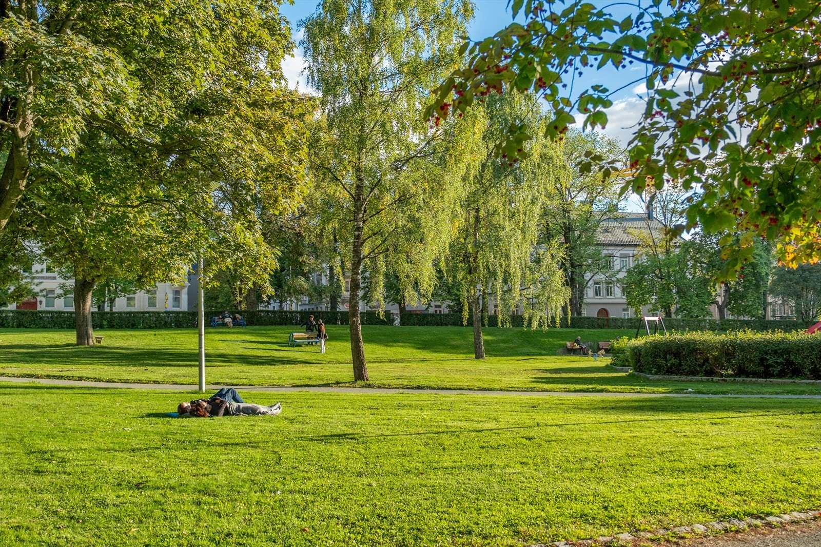 Lademopark ligger en kort gåtur unna leiligheten. Her kan man nyte varme sommerdager i parken. Galleribilde