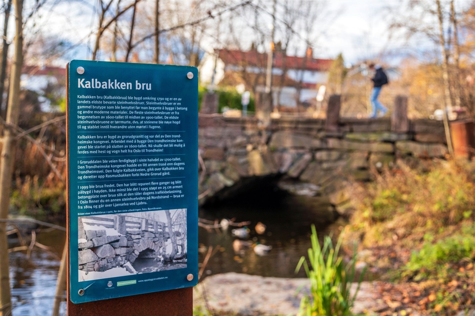 Flotte turmuligheter i område med blant annet Alnaelva rett i nærheten med tursti helt til sentrum Galleribilde