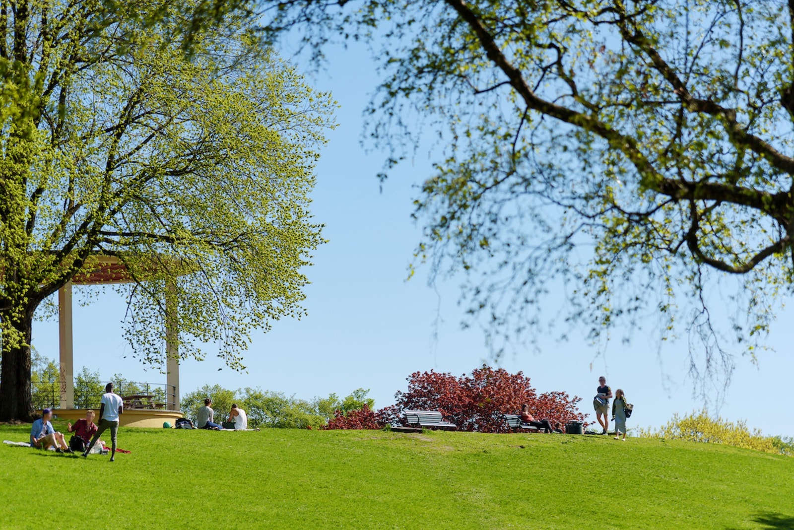 Kort vei til Torshovparken. Galleribilde