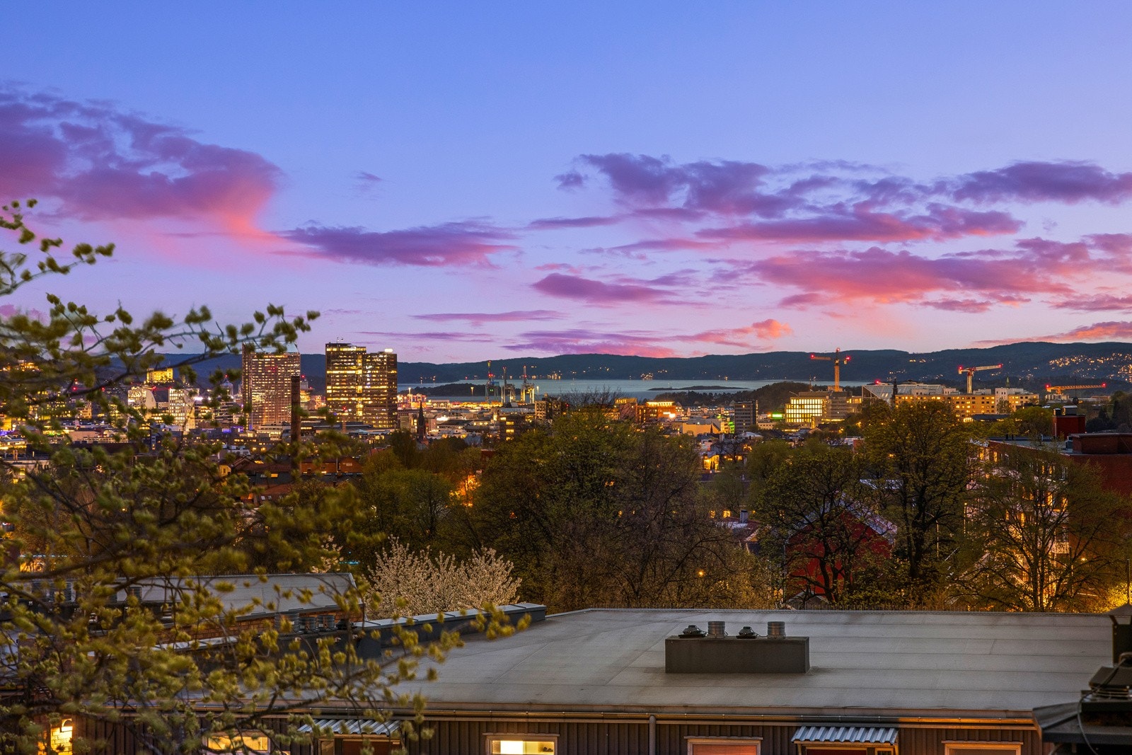 - Flott utsikt mot Oslofjorden - Galleribilde