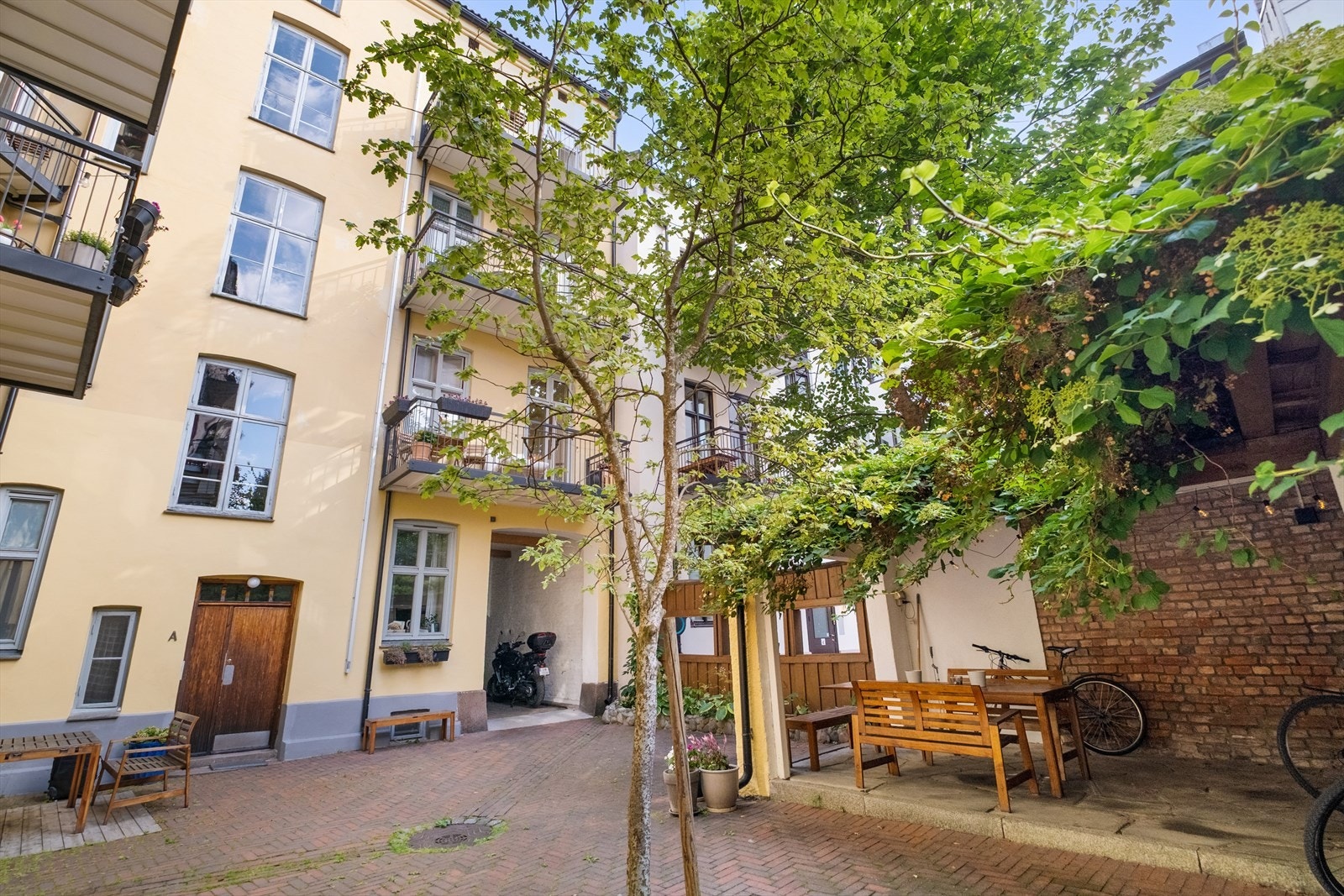 - Hyggelig bakgård - Galleribilde