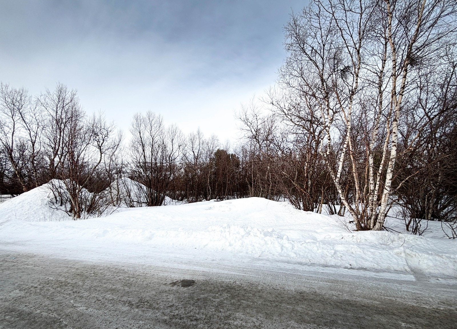 Tomten ved innkjøring Galleribilde