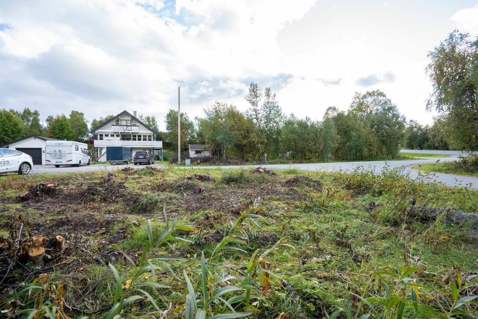Noe vegetasjon er fjernet fra tomten Galleribilde