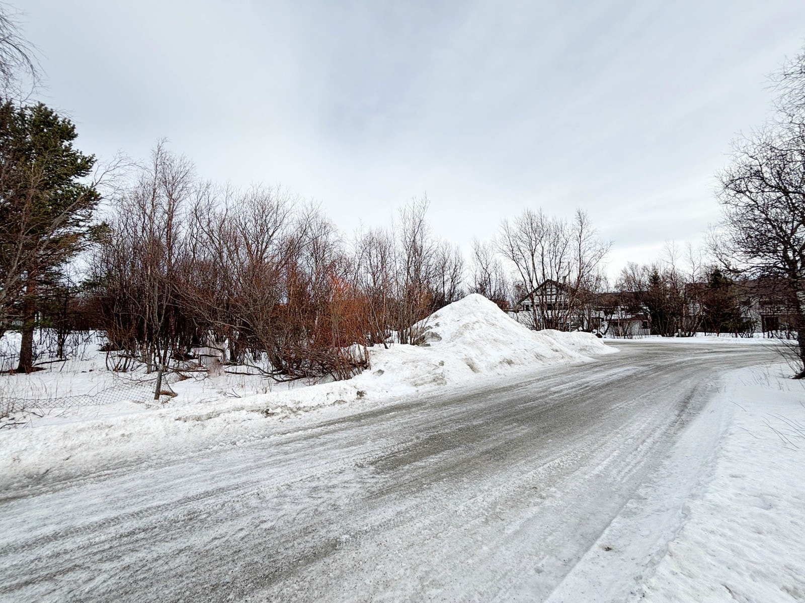 Tomten sett mot øst inn mot innkjøringen fra E6 til høyre i bildet Galleribilde