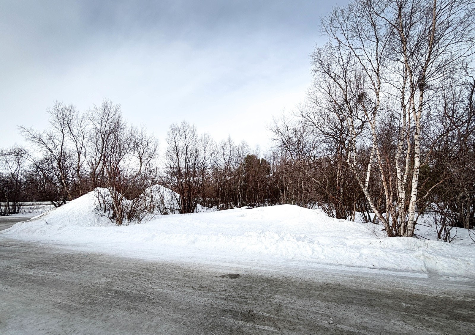 Tomten sett mot vest ved innkjøringen Galleribilde