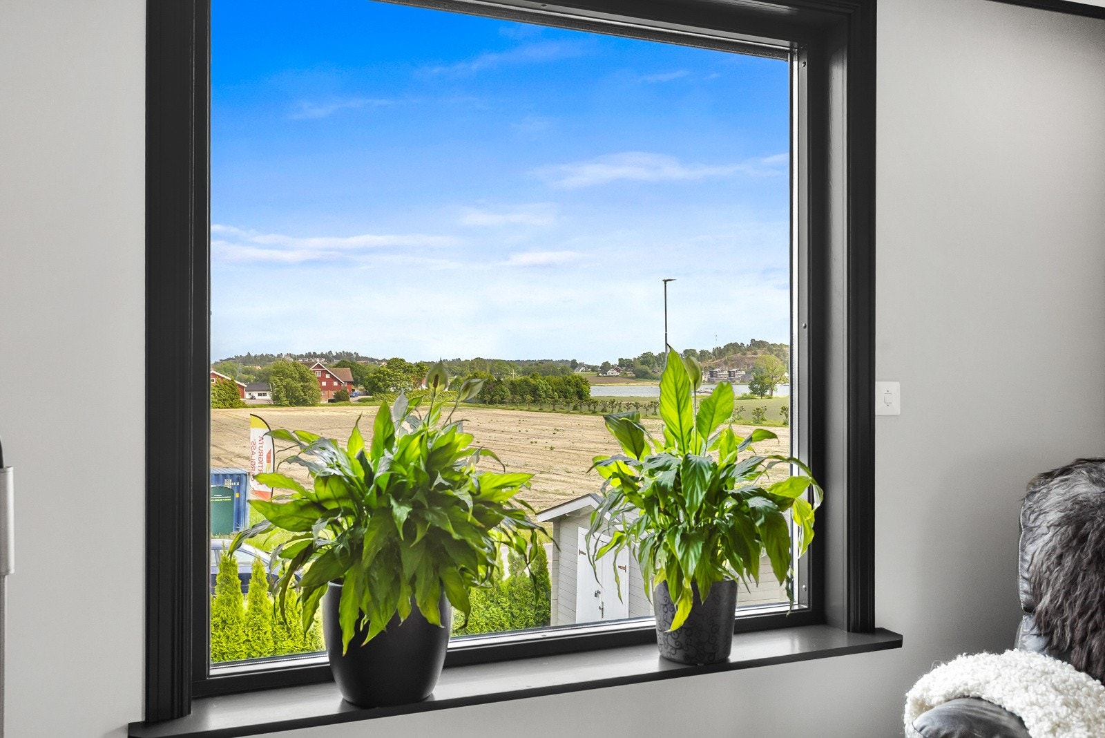 Utsyn fra stuen Galleribilde