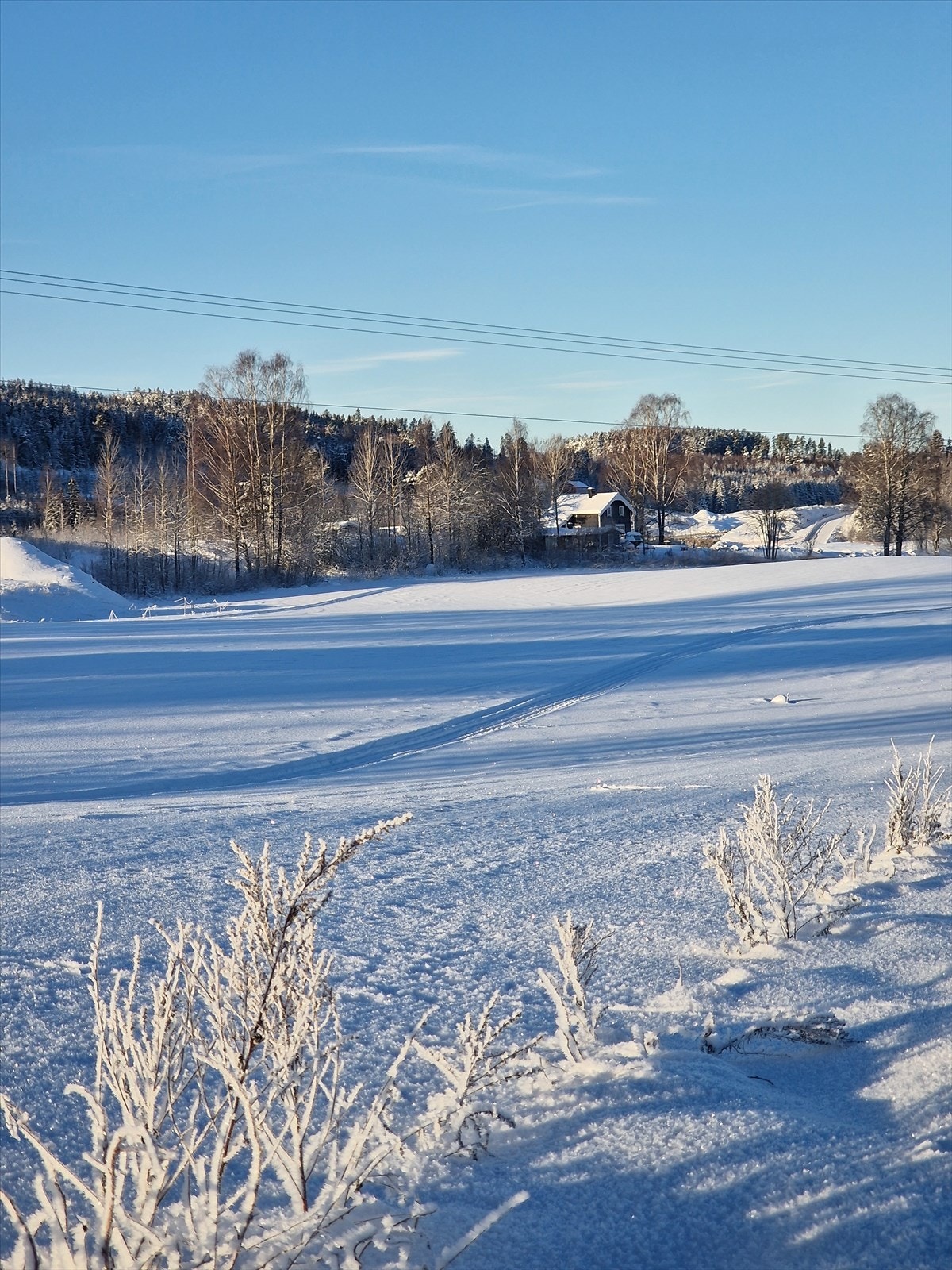 Det kjøres opp skiløyper på jordet like utenfor eiendommen! Galleribilde