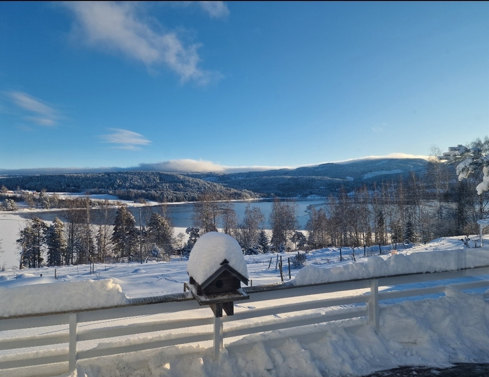 Selgers vinterbilde fra terrassen. Galleribilde