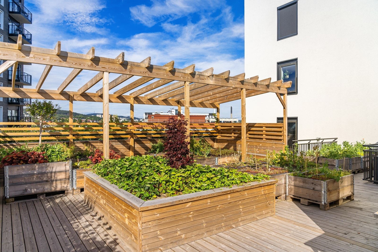 Her er det mulighet til egen dyrking i pallekarmer på taket. Galleribilde