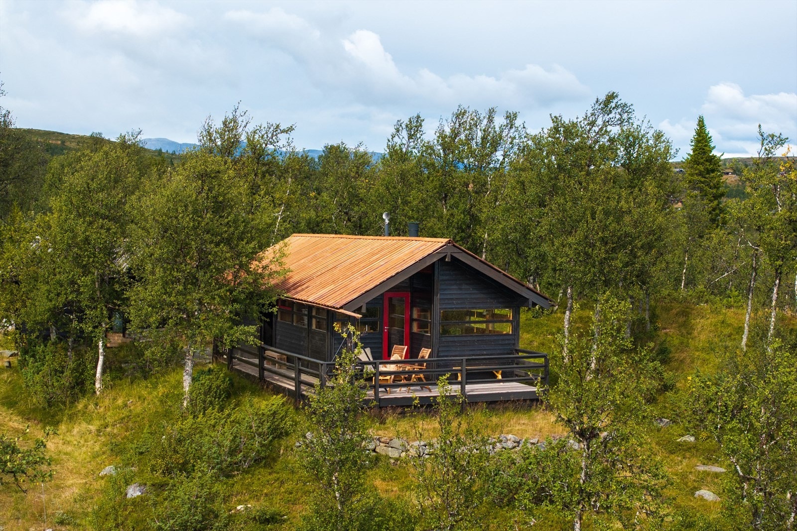Innlagt strøm. Vann fra felles pumpehus ved tomtegrensa Galleribilde