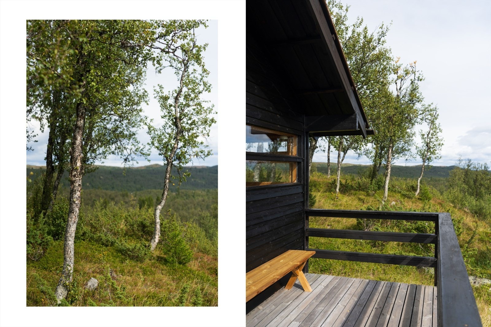 Egen tomt på over ett mål. Galleribilde