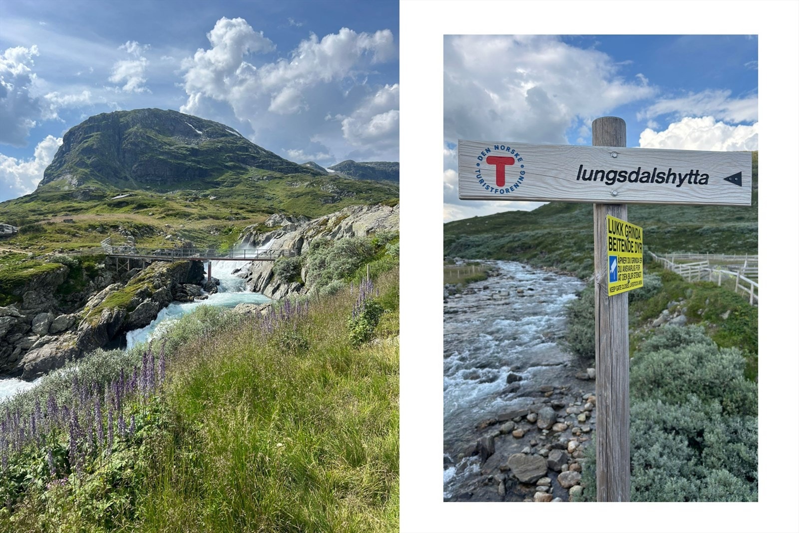 Selger egne bilder på vei til Iungsdalshytta . Muligheter for vakre naturopplevelser sommer som vinter. Galleribilde