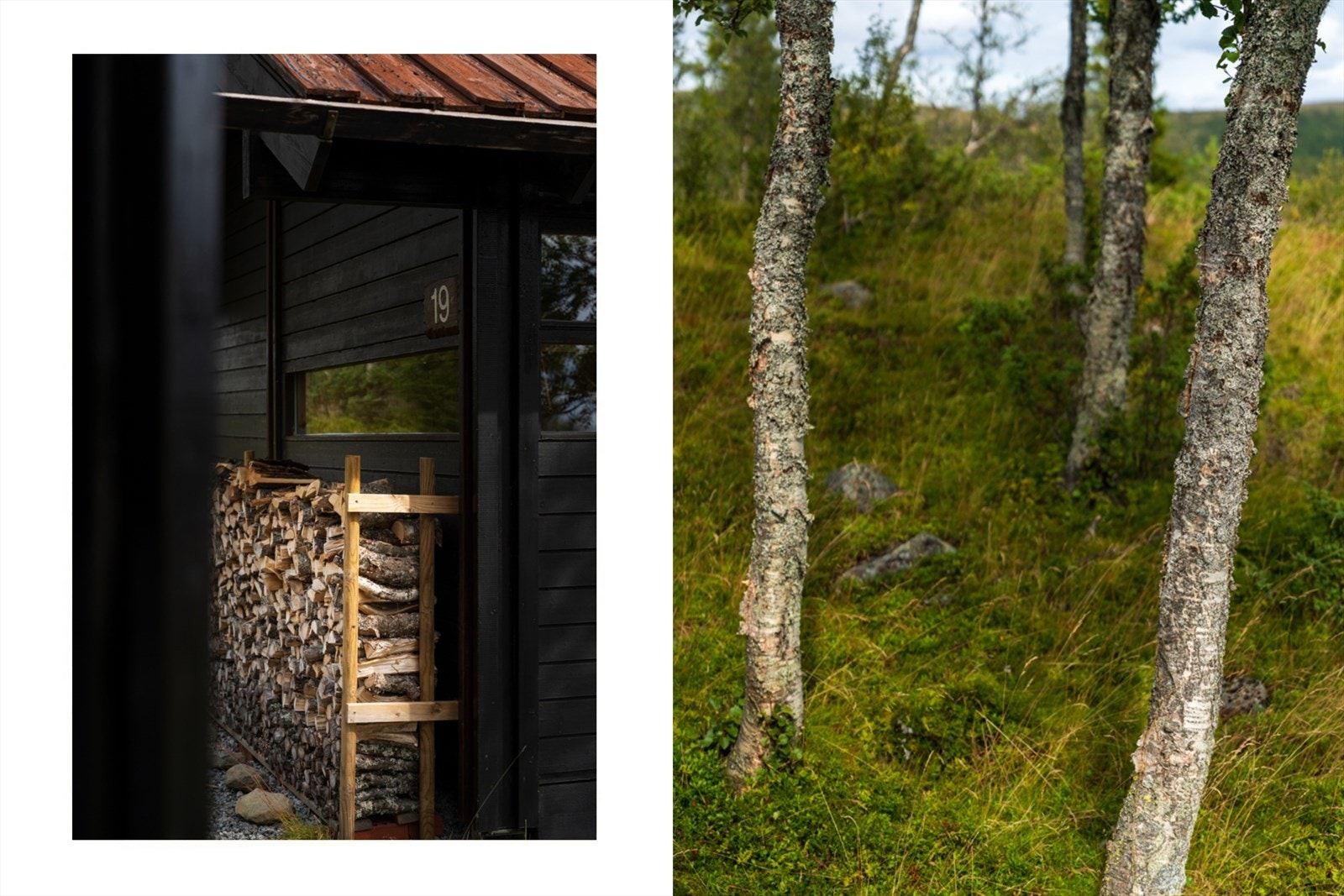 Gode muligheter for vedhogst på egen tomt. Galleribilde