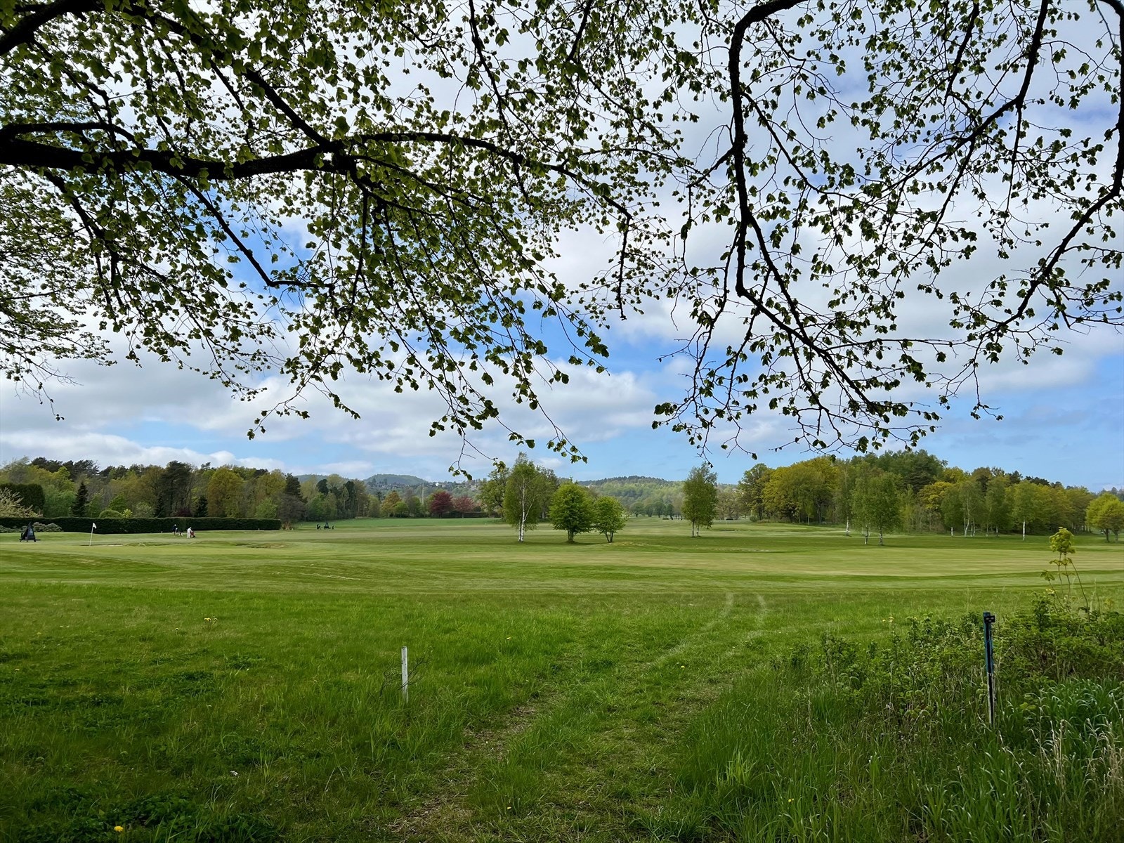 Larvik golfklubb - ligger kort vei unna Galleribilde