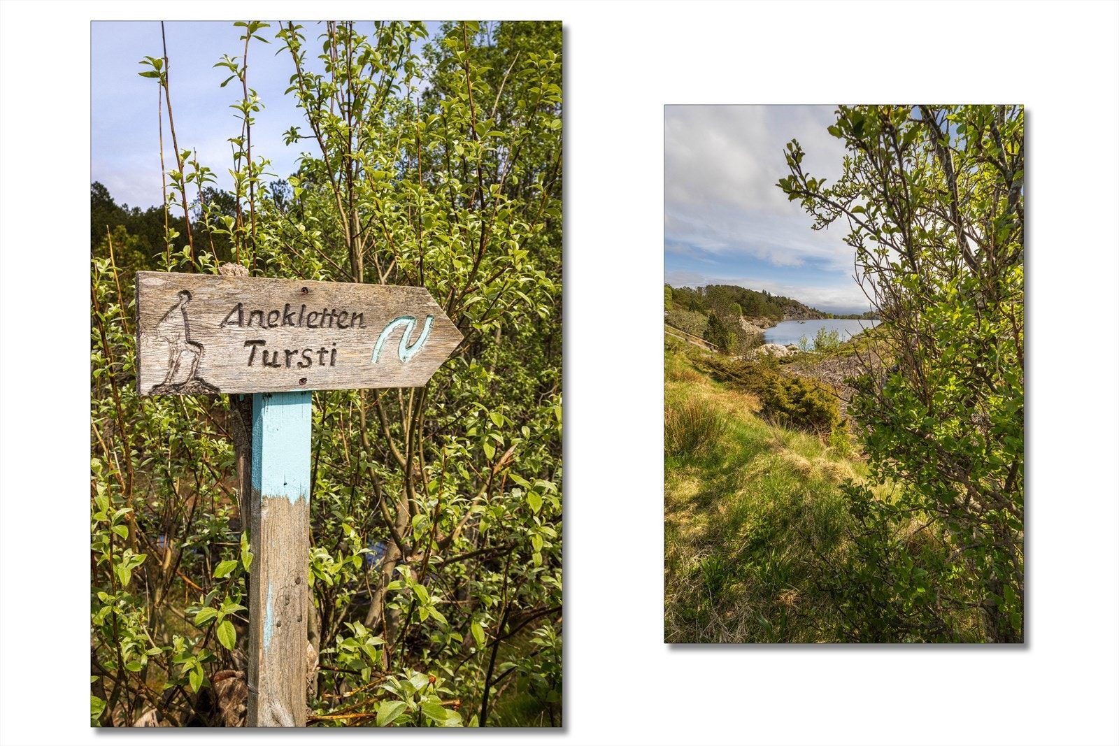 - Fra Anekletten kan du se en uendelig horisont i vest, Alden i Sunnfjord i nord og Ulriken og Fløyen i sørøst - Galleribilde