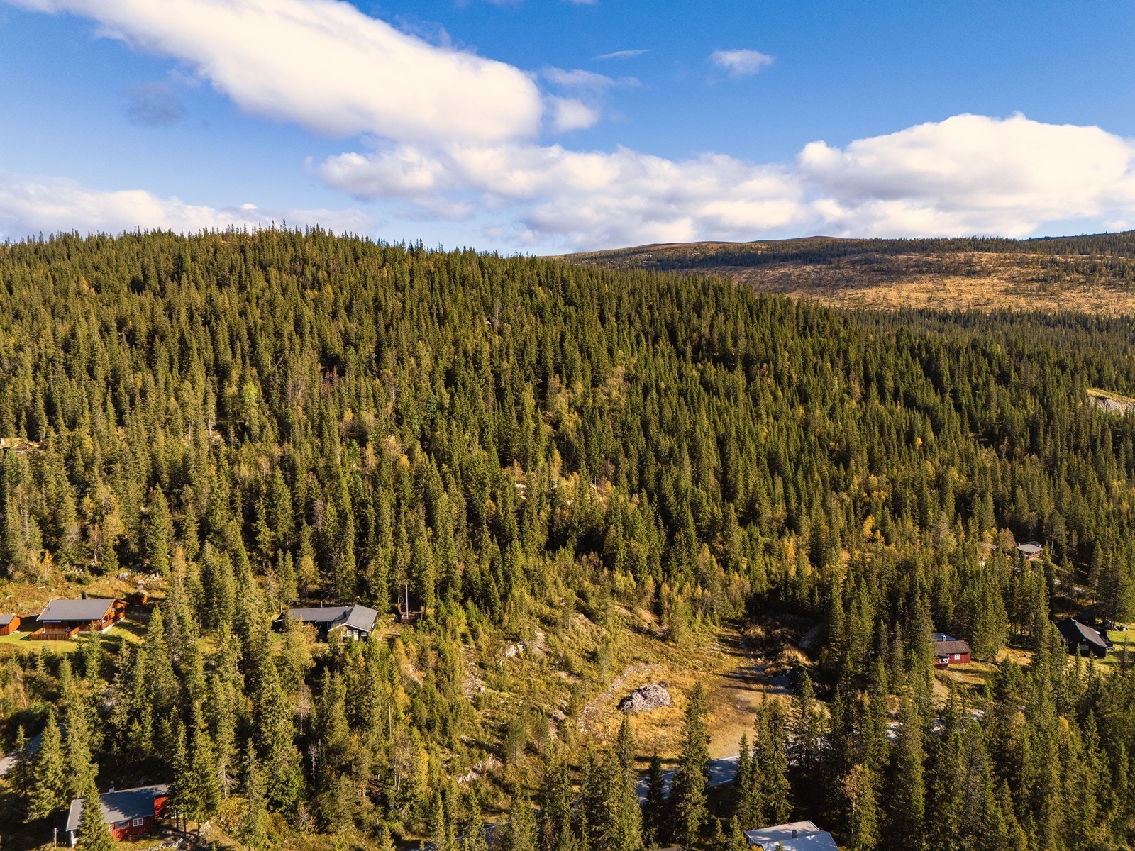 Velkommen til en hyggelig visning! Galleribilde