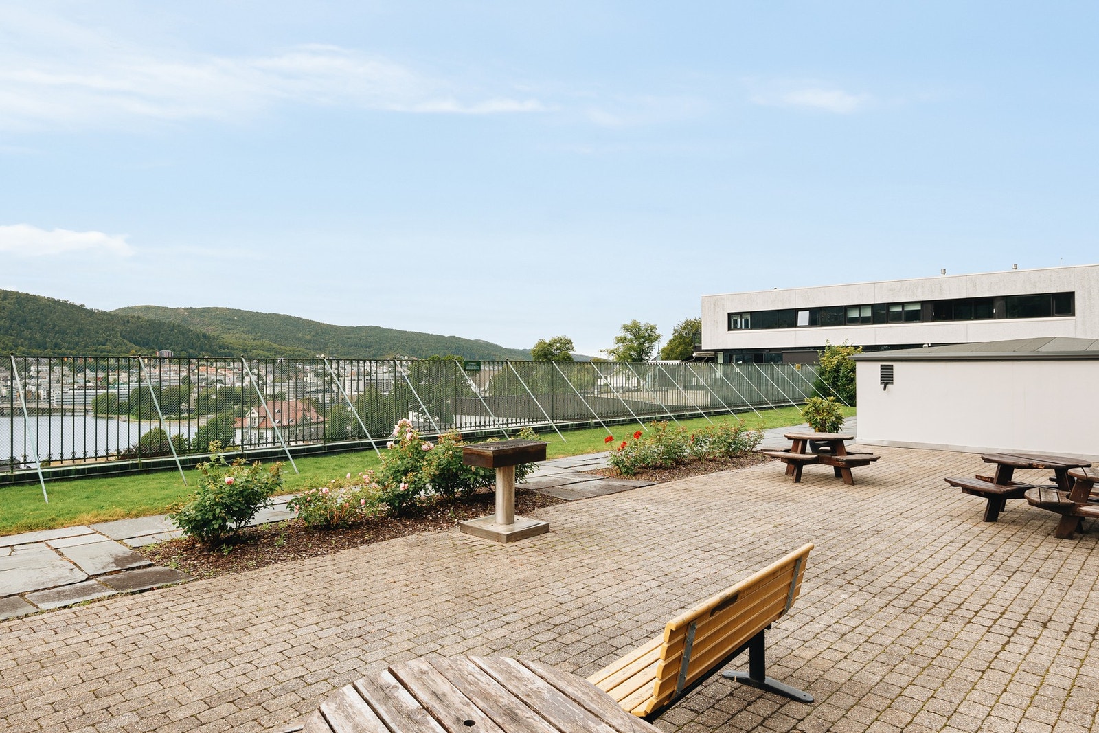 Nydelig utsikt fra felles takterasse over Store Lungegårdsvannet. Galleribilde